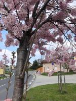 Apartmány na Vršku - B&B