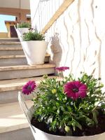 Il Vaso di Creta - B&B Ragusa