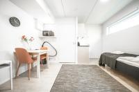 Basement Studio with Sauna
