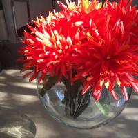 Rivadavia San Juan casa en alquiler cotización oficial - B&B San Juan