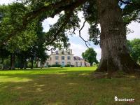 B&B Iffendic - Château Du Pin - Teritoria - Bed and Breakfast Iffendic