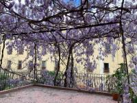 Appartamento Il Glicine - B&B Catania