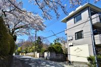 Hakone Guest House gaku. - B&B