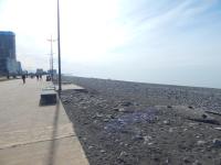 Batumi apartment in front of Sheraton - Chambres d’hôtes Batoumi
