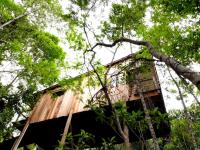 La Luciole Ecolodge - Ferienwohnung