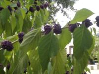 Ferienwohnung Seifert - B&B Helmbrechts