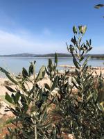 Beachhouse Smiley - B&B Tisno