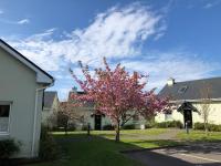 Dingle Centre Townhouse An Capall Dubh Dingle - B&B Dingle