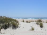 Apt. Acuarel - Ferienwohnung Conil de la Frontera