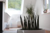 Ferienwohnungen Ries - B&B
