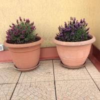 Portese la terrazza di Piero - Chambres d'hôtes San Felice del Benaco