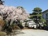 Minshuku Nakano - B&B