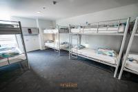 Bed in 8-Bed Mixed Dormitory Room with Bathroom