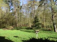 Ferienwohnung Bachforelle - B&B Neuenkirchen