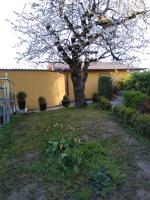 Swiss Borzoi House - B&B Bellerive