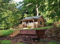 The Miners Log Cabin - B&B