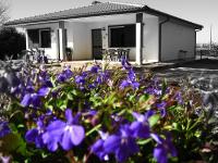 Agriturismo La Valle Dell'Albegna - B&B Orbetello