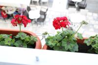 Trogir Square Apartment - B&B