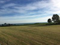 Gîte des falaises de champeaux - Ferienwohnung Champeaux