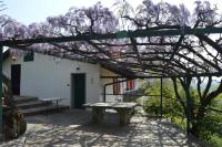 Double Room with Patio