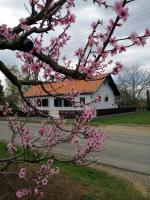 Special offer - Entire House
