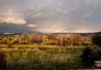 Lania Royal Oak House by TrulyCyprus - B&B Láneia