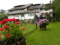 B&B Bran - Pensiunea Cerbul Carpatin - Bed and Breakfast Bran