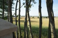 Familienzimmer mit Gemeinschaftsbad (2 Erwachsene + 2 Kinder)