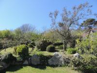 Camera Singola con Bagno Privato