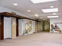 De Luchs - B&B Bad Harzburg