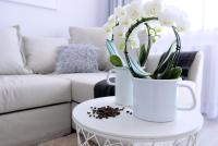 CHILLIapartamenty - Bliżej Morza - MOCCA - B&B Kołobrzeg