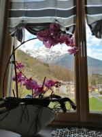 LE 4 STAGIONI - B&B Cavedago