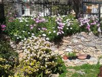 B&B Polline & Conchiglie - Ferienwohnung Ceriale