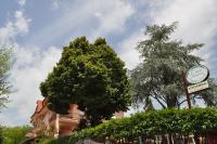 L' Aia Antica - Ferienwohnung Veroli