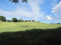 Driepersoonskamer met Uitzicht op de Bergen