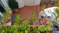 Appartamento La Follicara - Ferienwohnung