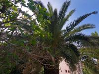 LaMaMa Apartment - Ferienwohnung Novalja