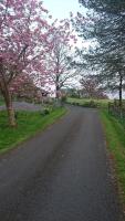Laraghson House - Bed and Breakfast Enniskillen
