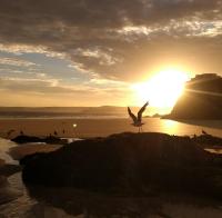 Trevellis Bed and Breakfast - Ferienwohnung Newquay