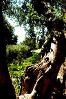 Locanda Delle Mura Anna De Croy - B&B