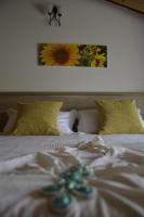 Penthouse Appartement