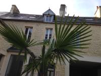Chalet Camélia Bayeux centre-ville - Chambres d’hôtes