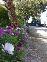 Casa Noemi - B&B