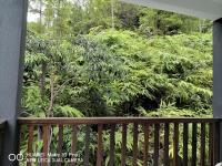 Habitación con cama extragrande y balcón