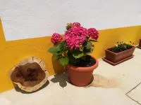Casa das Sereias - Bed and Breakfast Rabo de Peixe