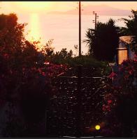 CASA SOFIA - B&B Anacapri