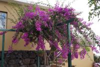 Casa Aloe - B&B El Paso