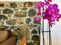 Villa da Bisa with heated swiming pool - B&B Arco da Calheta