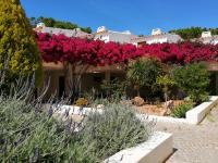 Apartamento Arvore da Vida - B&B Albufeira