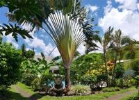 Pension De La Plage - B&B